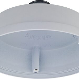 D-Link DCS-F481PC Pendant Cap Type T2
