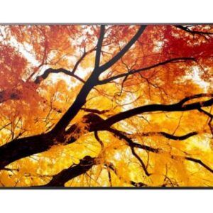 Sharp PN-M652 65" Large Display UHD