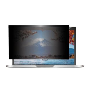 Shintaro Privacy Filter 13.3" for Laptop